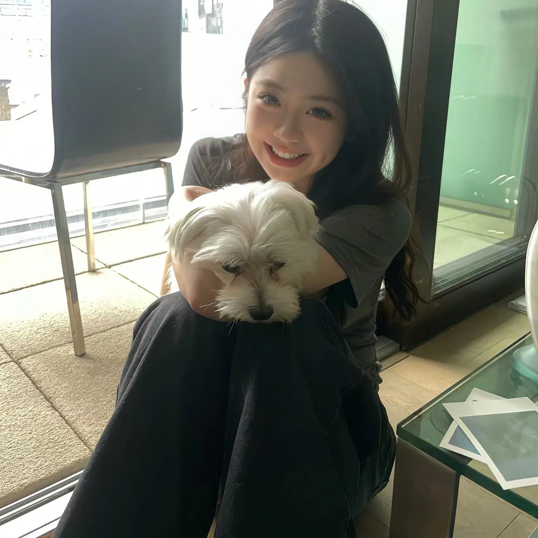 小鸡