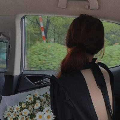 金药局的女儿们